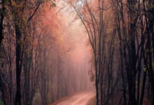 [足球之夜]谢文能：时刻准备着.