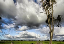 中超官方第3轮最佳球员候选:阿齐兹、马莱莱、米内罗在列.