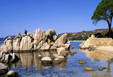 [中超]巴尔加斯左路传中 王燊超头球破门.